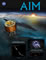 AIM Artist Conceptions: Image